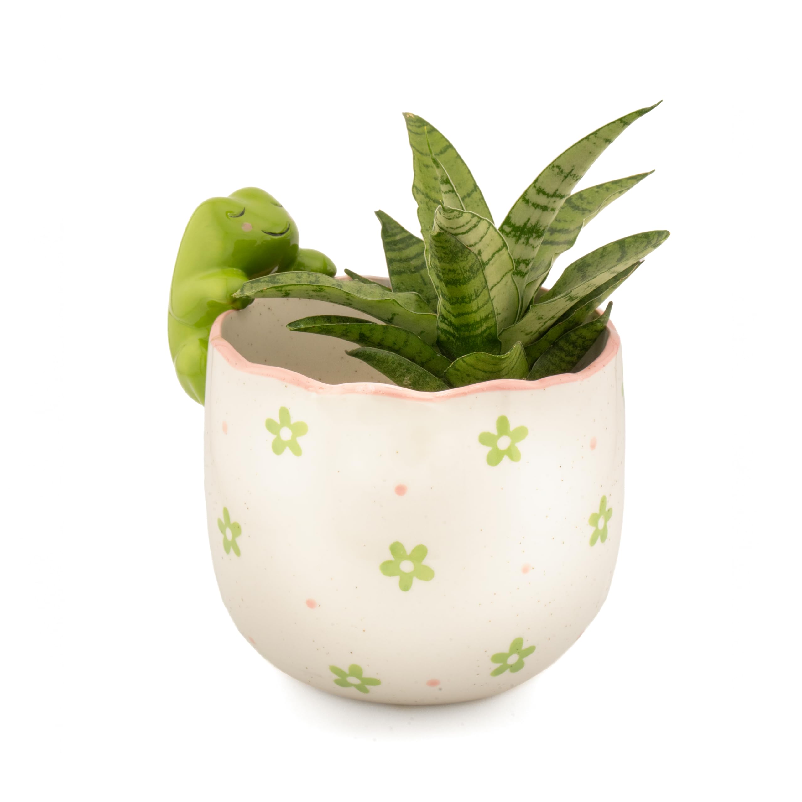 Sass & Belle Peeking Sausage Dog/Lobster/Cat Planter