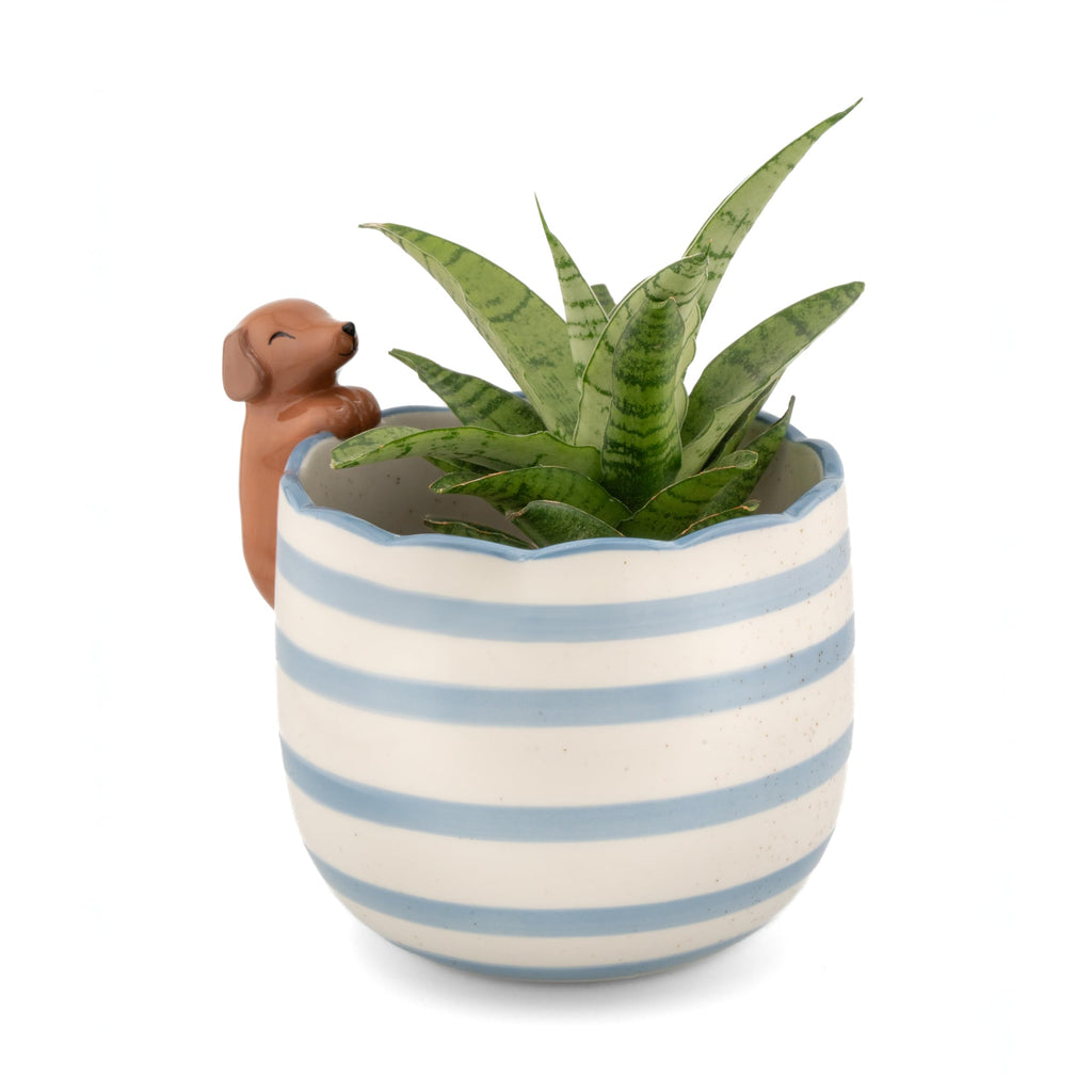 Sass & Belle Peeking Sausage Dog/Lobster/Cat Planter