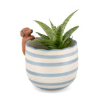 Peeking Animal Planter (Sausage Dog, Lobster & White Cat)
