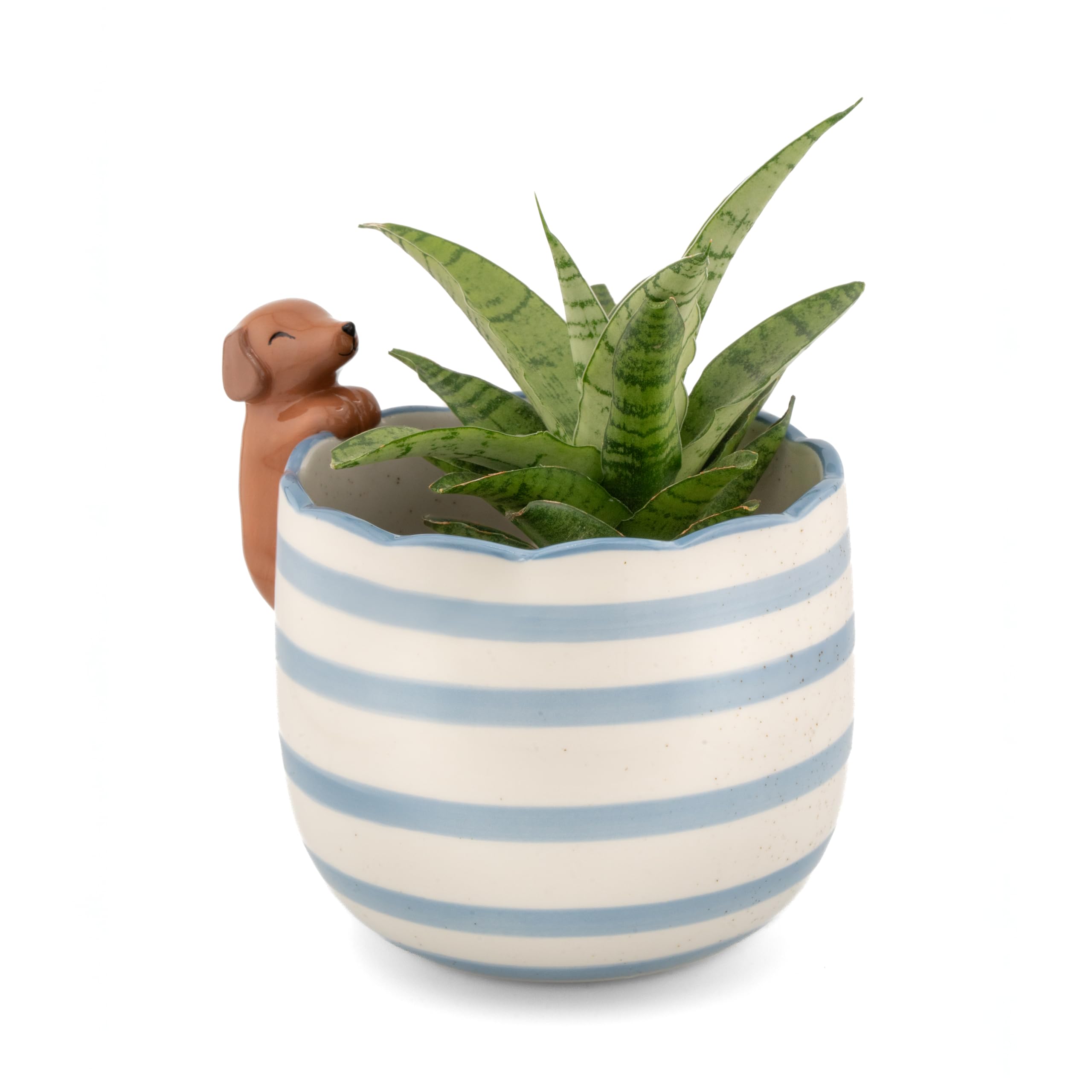 Sass & Belle Peeking Sausage Dog/Lobster/Cat Planter