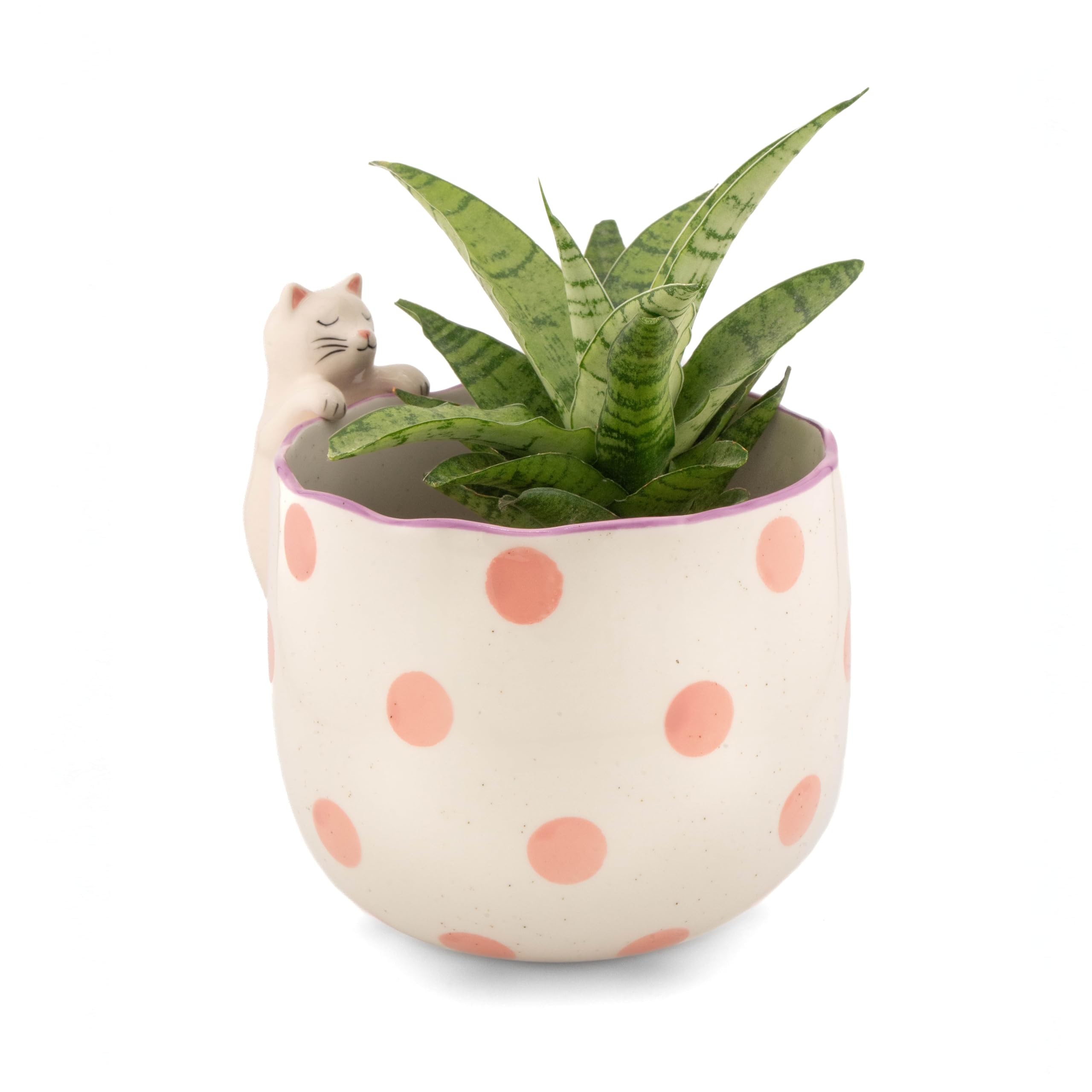 Sass & Belle Peeking Sausage Dog/Lobster/Cat Planter