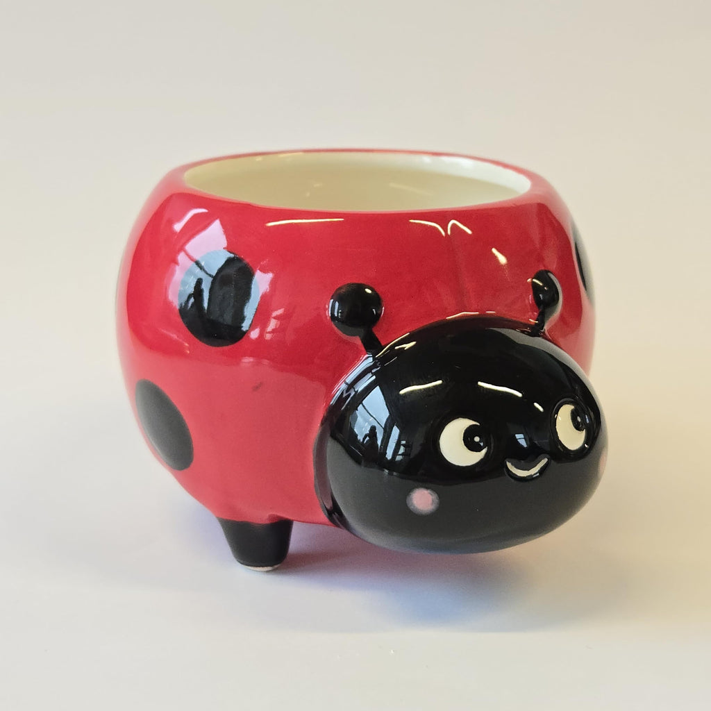 Sass & Belle Ladybird Mini Planter