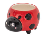 Sass & Belle Ladybird Mini Planter