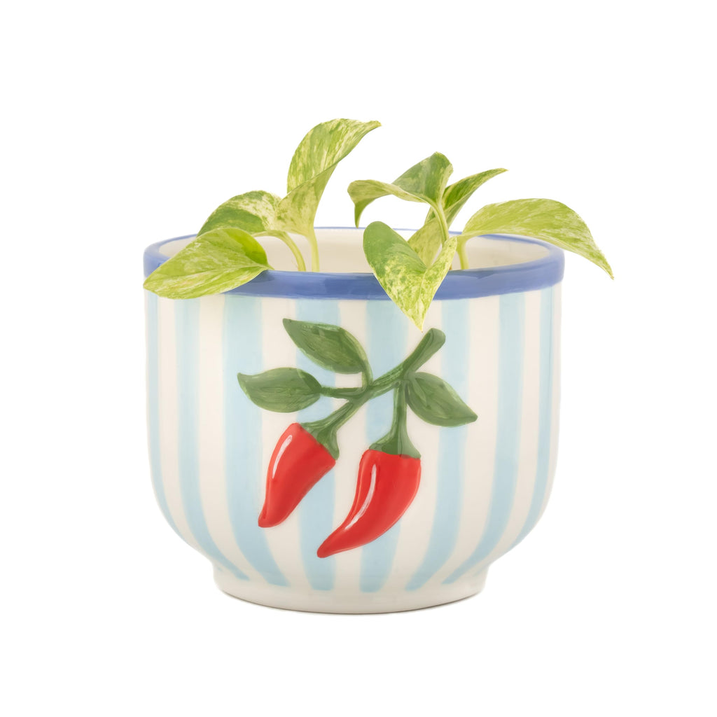 Sass & Belle Hand painted Chilli Pepper Planter