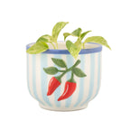 Sass & Belle Hand painted Chilli Pepper Planter
