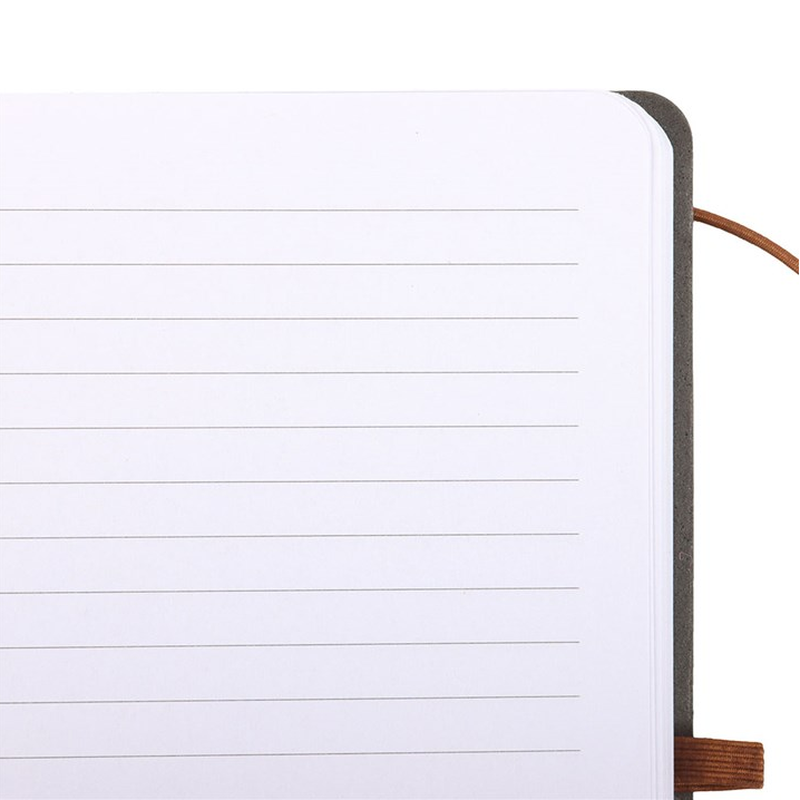 Viking Compass A5 Faux Leather Journal with Pen