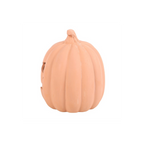 Terracotta Pumpkin Ornament 15cm