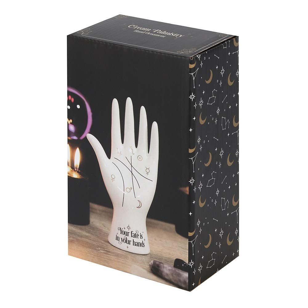 Modern White Ceramic Palmistry Hand Ornament 'Your Fate is in Your Hands' Text Something Different