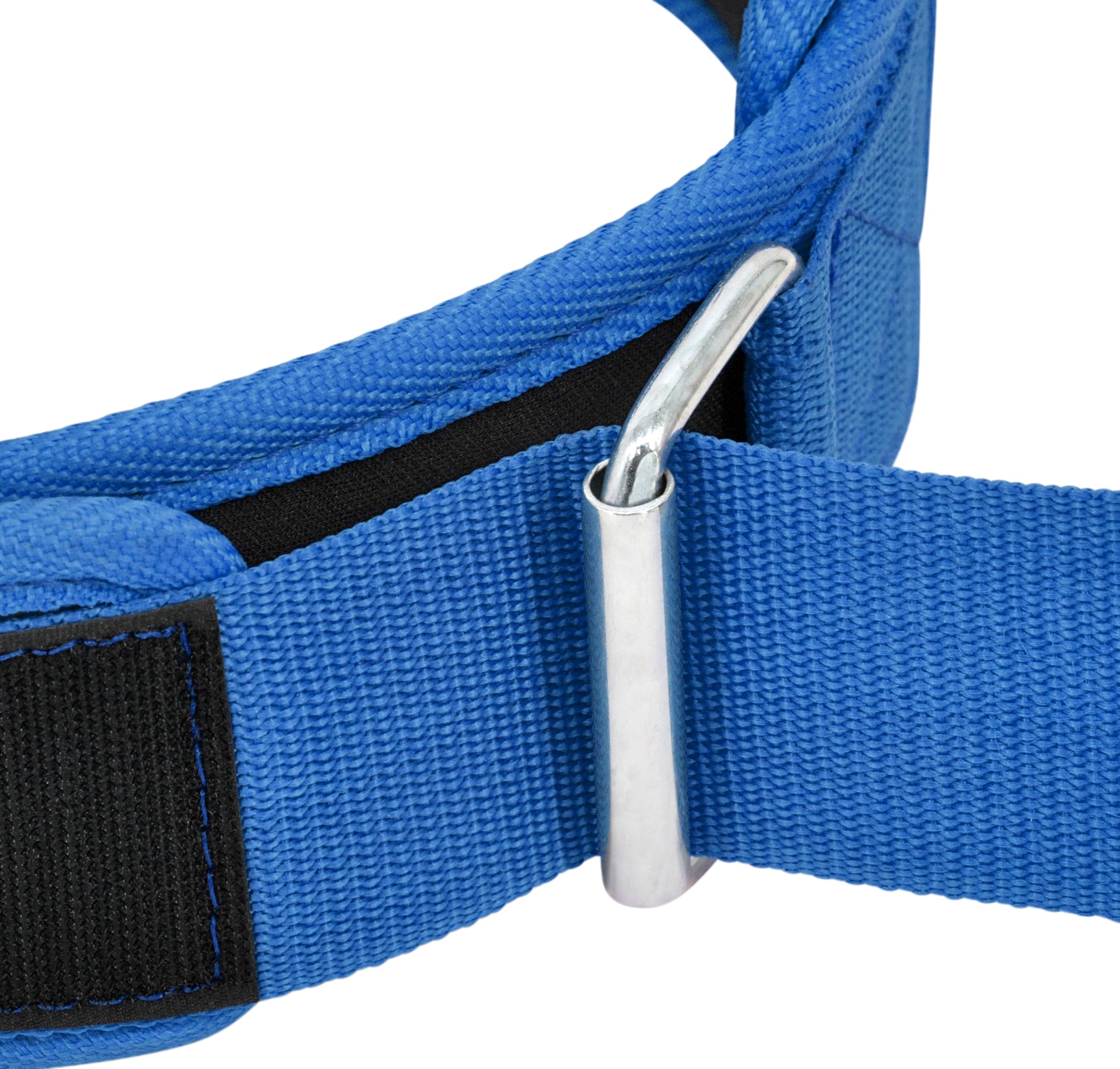 RDX Weight Lifting Belt Unisex, Durable EVA Foam Padding, Iron Buckle, Back Soft Support RDX