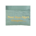 Just One More Chapter Cushion with Book Pocket