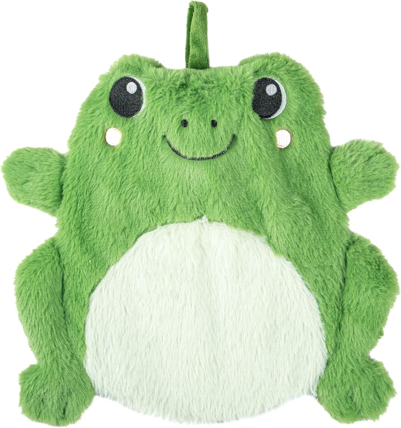 Sass & Belle Fergus Frog Hot Water Bottle