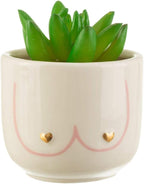 Sass & Belle Mini Girl Power Boobies Planter