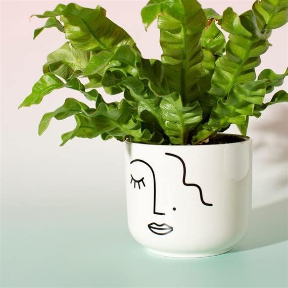 Sass & Belle Abstract Face White Large Planter