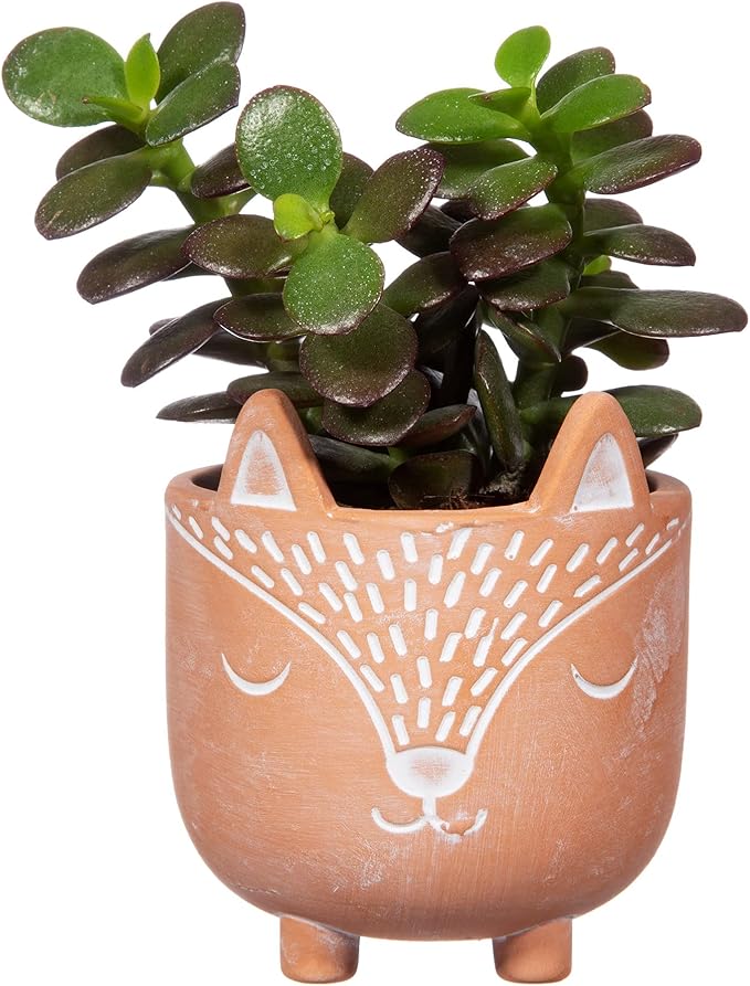 Sass & Belle Mini Woodland Fox Terracotta Planter