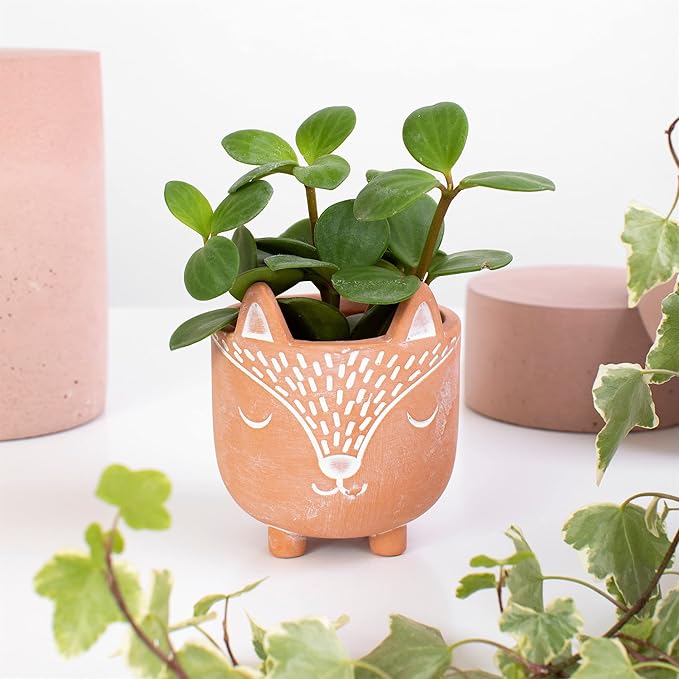 Sass & Belle Mini Woodland Fox Terracotta Planter