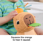 Fisher-Price Snuggly Snacky Capybara Baby Sensory Toy