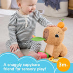 Fisher-Price Snuggly Snacky Capybara Baby Sensory Toy