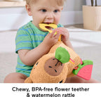 Fisher-Price Snuggly Snacky Capybara Baby Sensory Toy