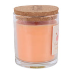 Pumpkin Pie Scented Glass Candle with Cork Lid