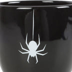 Black Spider Teacup Something Different