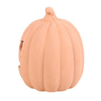 15cm Terracotta Pumpkin Ornament Something Different