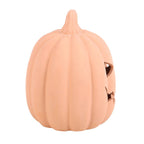 15cm Terracotta Pumpkin Ornament Something Different