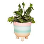 Sass & Belle Pastel Ombre Leggy Planter Large Sass & Belle