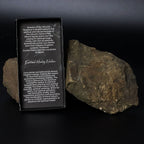 Essence of the Volcano Necklace - Emotional Healing AW-Dropship
