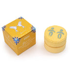 Gemini Zodiac Bath Fizzers with Horoscope – Set of 2