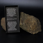 Essence of the Volcano Necklace - Spiritual Awakening AW-Dropship
