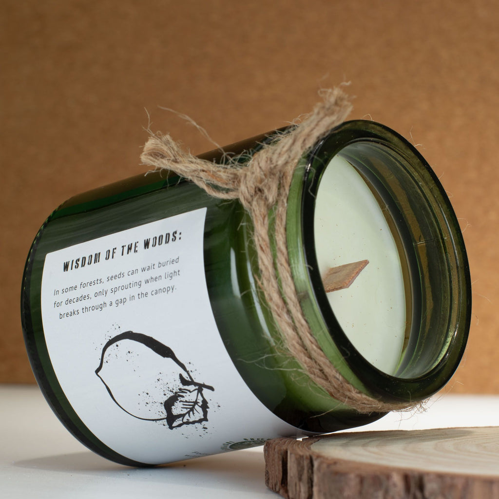 Greenman Woodwick Soy Candle Collection
