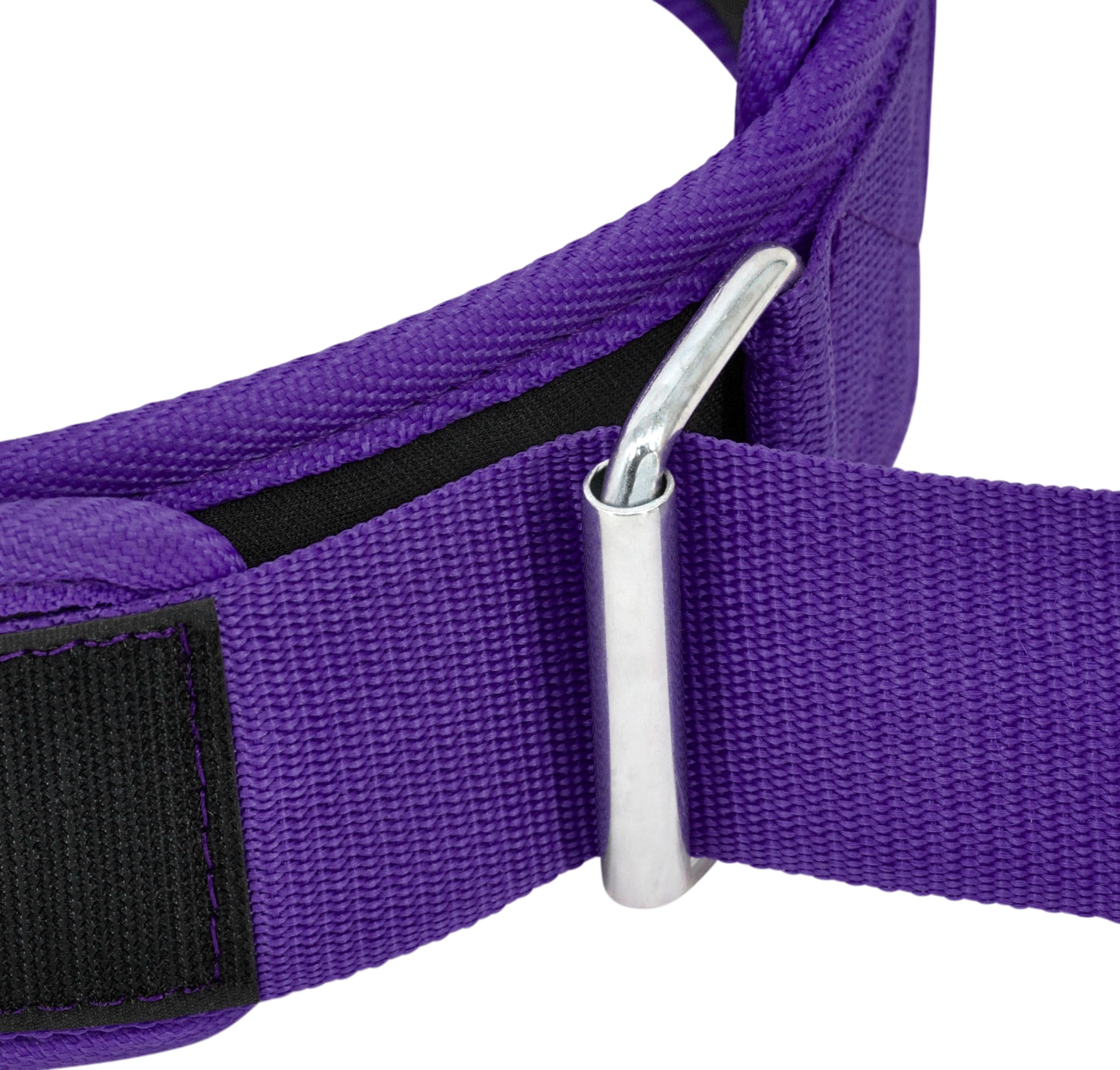 RDX Weight Lifting Belt Unisex, Durable EVA Foam Padding, Iron Buckle, Back Soft Support RDX
