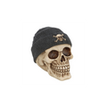 Skull Ornament with Beanie