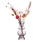 Sass & Belle Selina Glass Vase Clear Sass & Belle